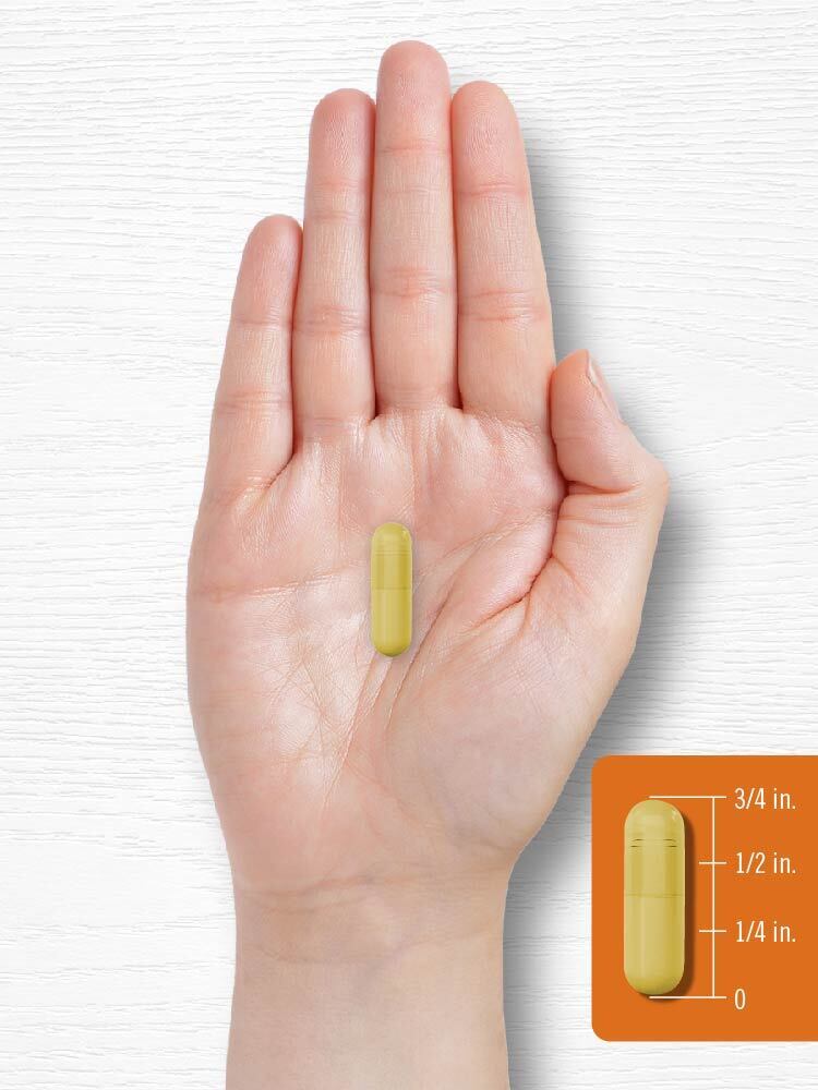 Turmeric Curcumin 2400mg | 180 Capsules | Non-GMO, Gluten Free
