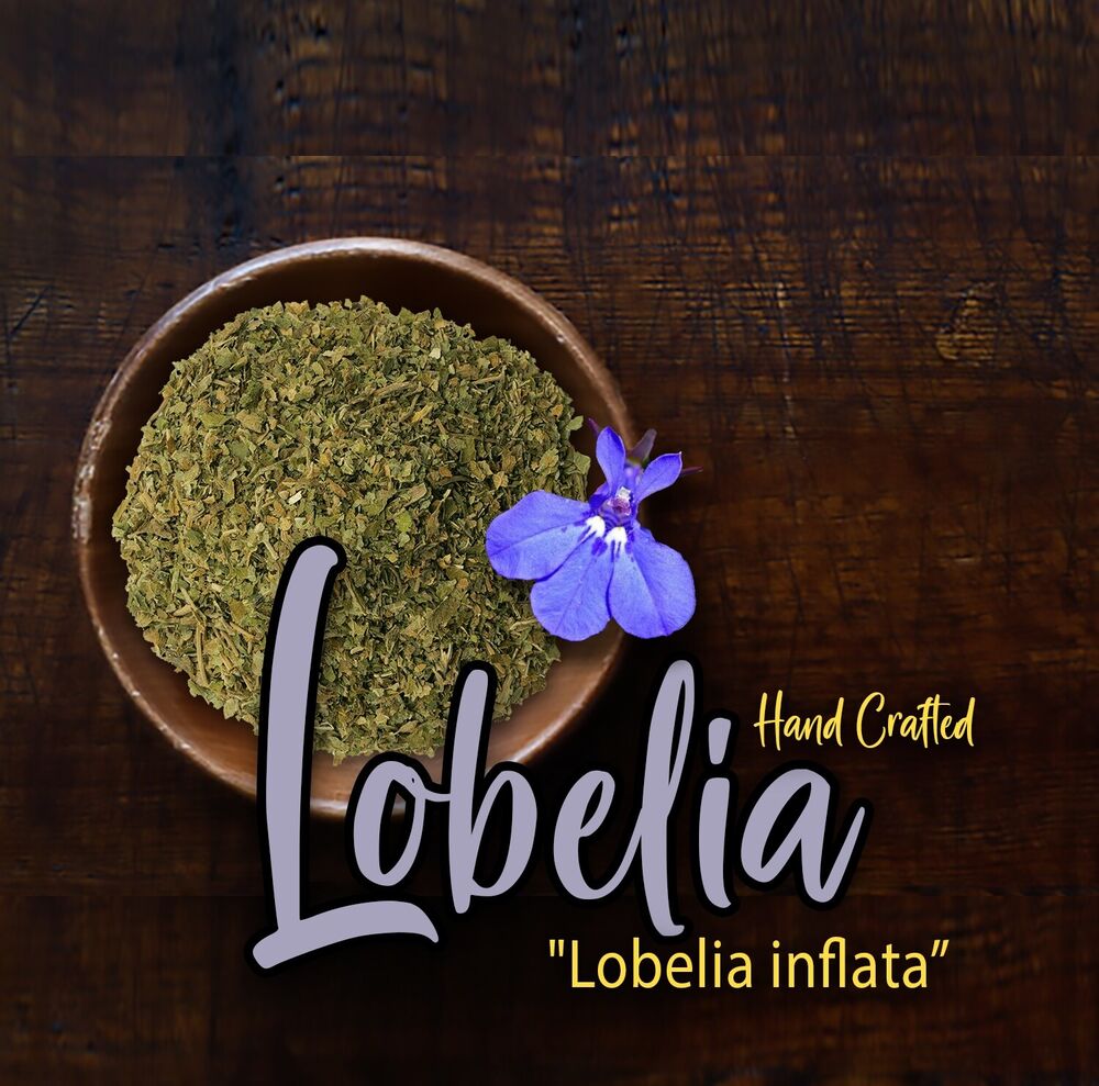 Lobelia Herb Dried c/s Lobelia inflata 500g Apothecary Herbal