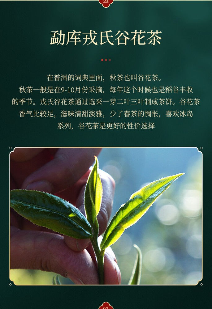 200g Valley Flowers Puer 2015 Mengku Rongshi Gu Hua Xiang Autumn Pu'er Tea Raw