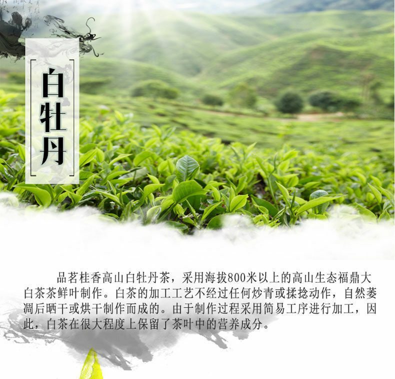 HelloYoung Premium Organic Bai Mu Dan White Peony White Tea Spring Tea Loose Leaf Tea 400g