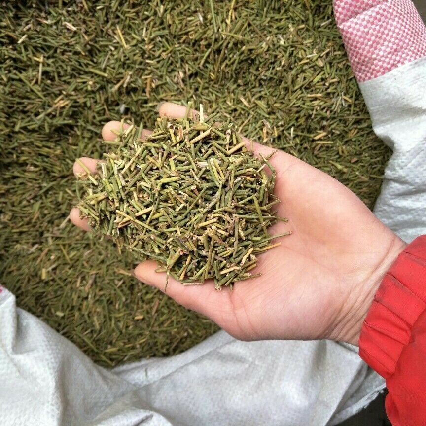 HelloYoung Organic Wild Green Mu & Huang Tea Powder Mu Fang Herbal Free Shipping Mo & huang