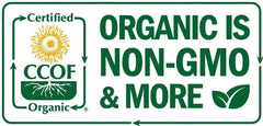 Wheat Grass Powder 1.1 lb - USDA Certified Organic -Non-Gmo Greens Superfood