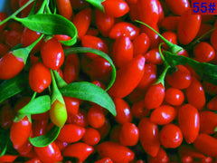 USDA CERTIFIED ORGANIC GOJI BERRY AAA++, 1 LB FROM QINGHAI WOLFBERRY