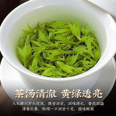 70g Small Leaf Bittersweet Tea Can 小叶苦丁茶 青山绿水嫩芽苦丁茶罐装 花草茶代用茶70g/罐
