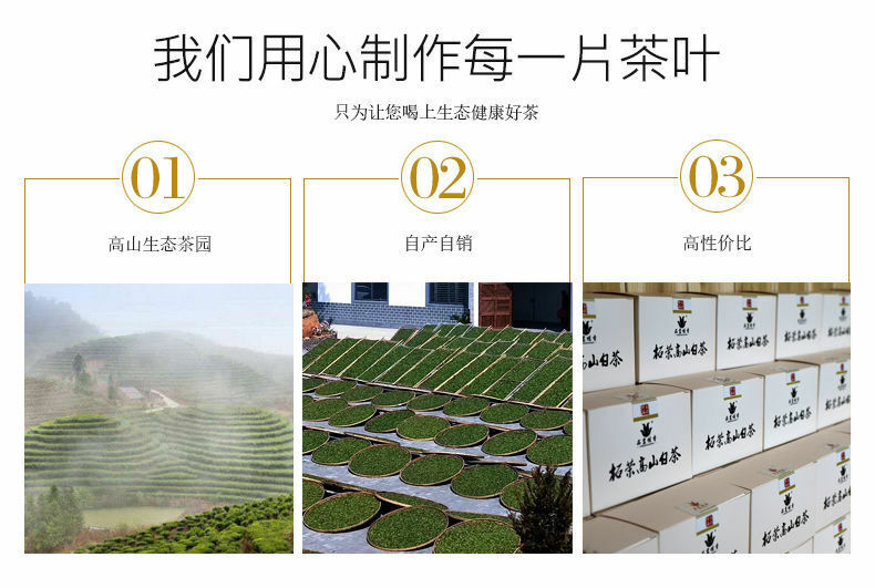 HelloYoung Chinese Fuding White Tea White Peony Bai Mu Dan Biscuit Small Square Brick 100g
