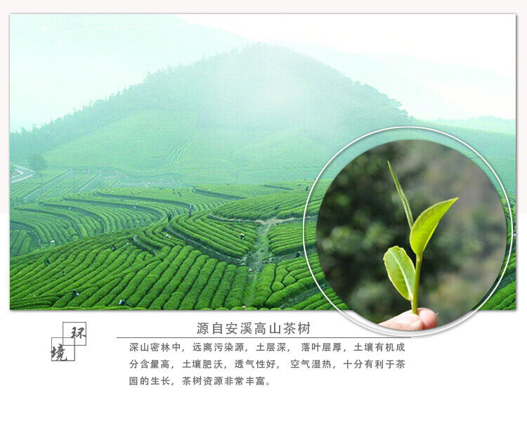 HelloYoung Strong Aroma Flavor Chinese Tieguanyin Oolong Tie Guan Yin Tea Iron Goddess