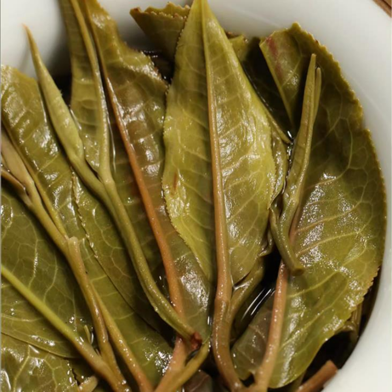 357g Yunnan Raw Puerh Tea Cake Spring Pu'er Sheng Tea Premium Pu-erh Tea