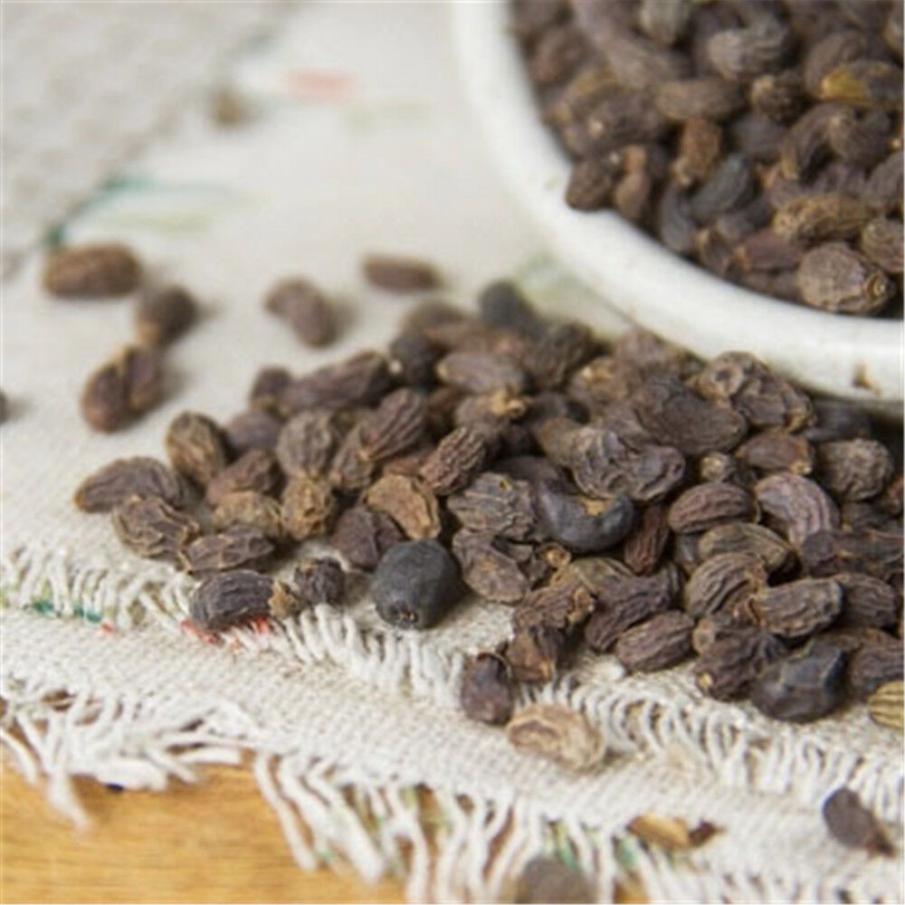 HelloYoung 100% Natural Ligustri lucidi Fructus Nv Zhen Zi 陳子 Chinese Herbal medicine