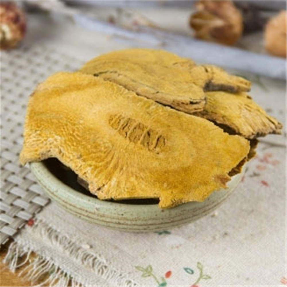 HelloYoung 100% Natural Knotweed Fallopia Japonica Polygoni Cuspidati Hu Zhang Ecology Herb
