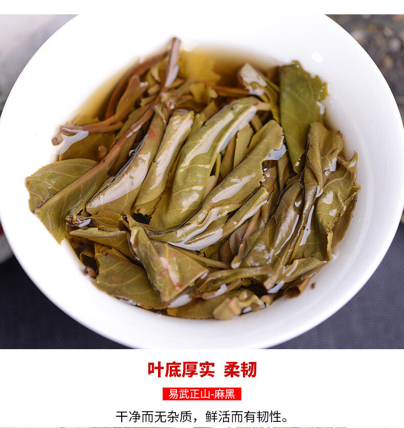 2021 Haiwan Yi Wu Zheng Shan Ma Hei Famous Old Tree Shen Puer Tea Raw Pu'er 500g