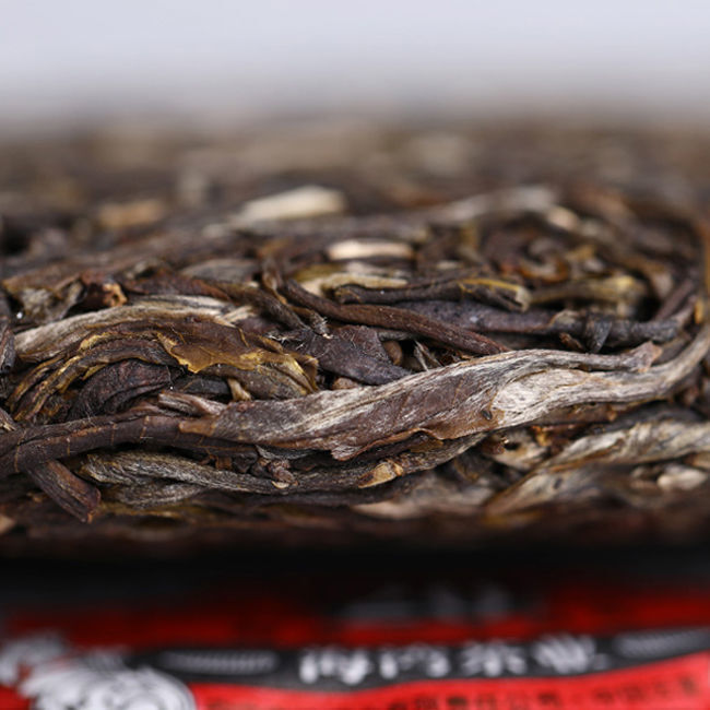 500g Remote Mountain Ancient Tree 2019 Haiwan Old Comrade Batch 191 Raw Puer Tea