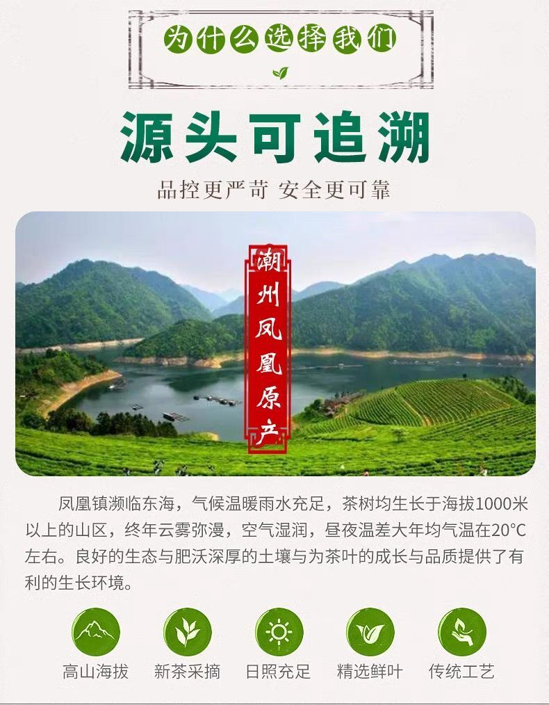 HelloYoung China Phoenix Dancong Yashixiang Oolong Tea Feng Huang Duck Feces Light Flavor