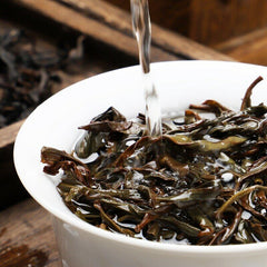 HelloYoung Honey Orchid * Milan Chaozhou Dan Cong Oolong Tea Feng Huang Phoenix Dancong Tea