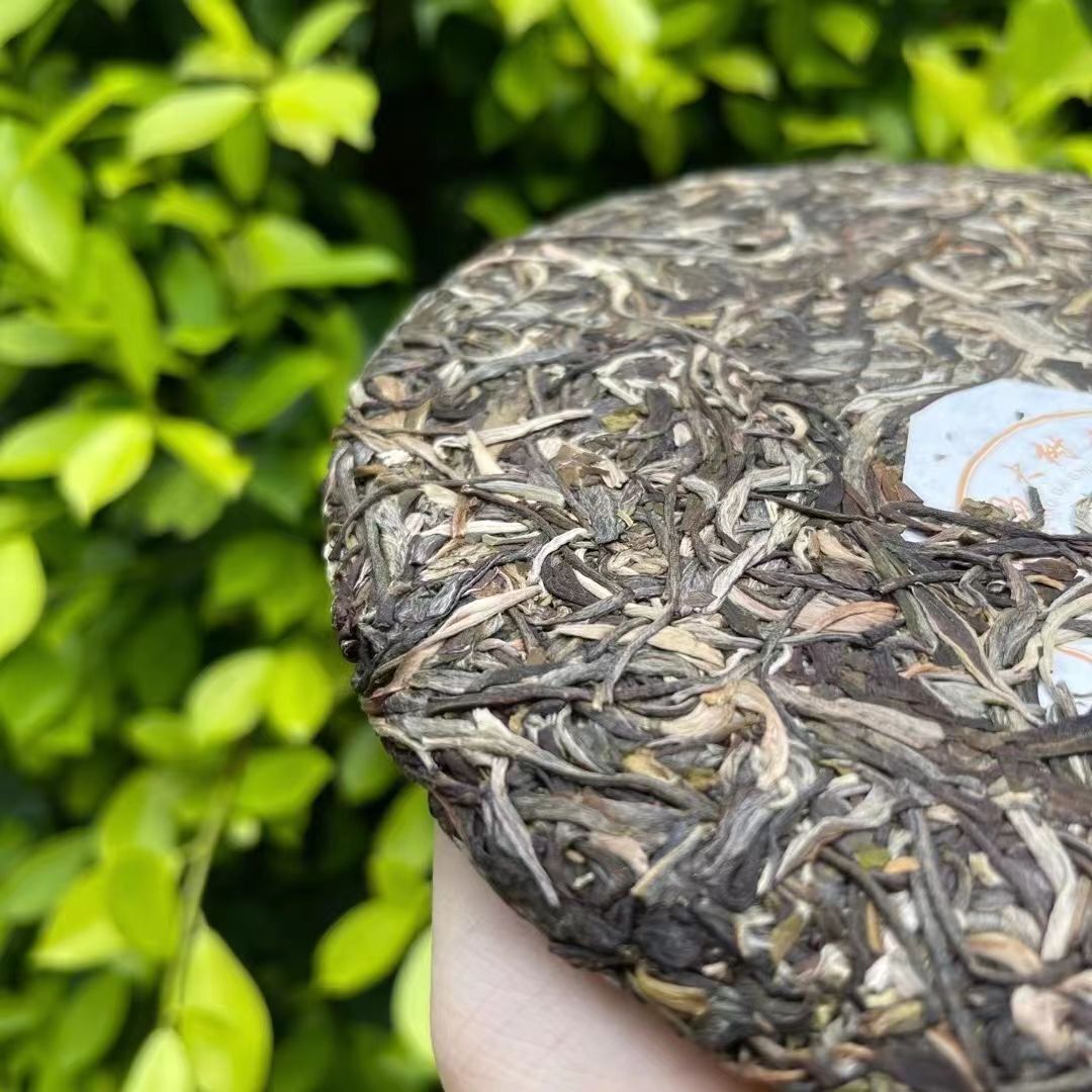 357g Pu-erh Raw Tea Cake Iceland Big Tree Puerh Tea Early Spring Pu'er Green Tea