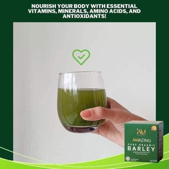 5 BOXES Pure Organic Barley Powdered Drink Mix - FREE SHIPPING