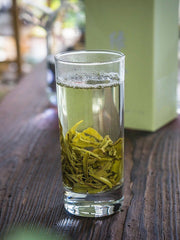 Yunnan Organic Early Spring Snowy Mountain Maofeng Wild Silver Tips Green Tea