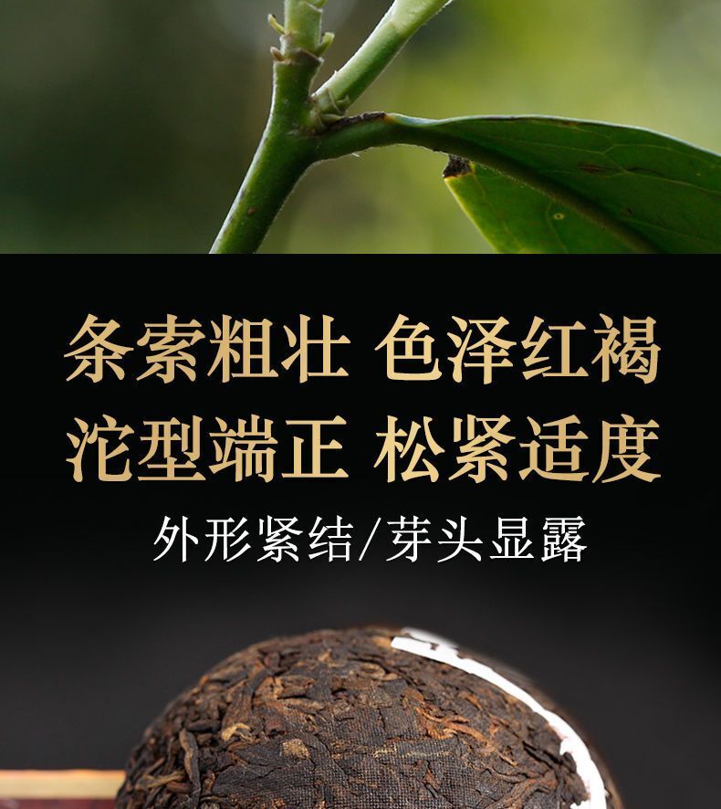 DALI Tuocha  Yunnan Xiaguan Shu Pu-erh Tea Pu'er Ripe Puer Tea 100g Boxed