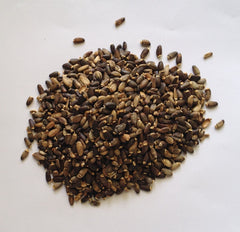 ST MARYS MILK THISTLE SEED PREMIUM HARVEST HERBAL TEA 250g Silybum marianum