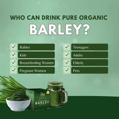 5 BOXES Pure Organic Barley Powdered Drink Mix - FREE SHIPPING