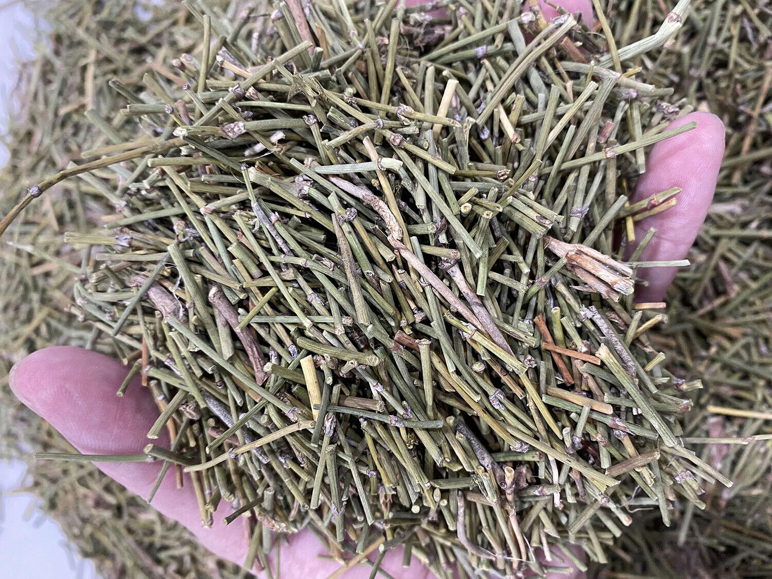HelloYoung Organic Wild Green Mu & Huang Tea Powder Mu Fang Herbal Free Shipping Mo & huang