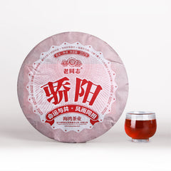 357g First Class "Jiao Yang" Haiwan Old Comrade Blazing Sun Ripe Puerh Puer Tea