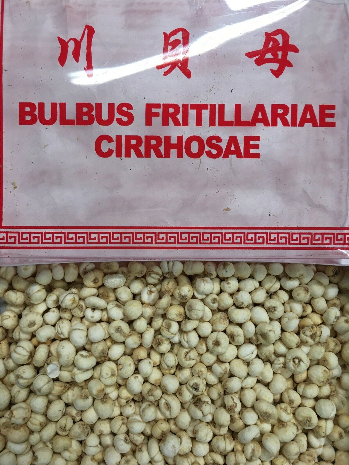 Fritillaria Cirrhosae (川貝母) - 6 OZ