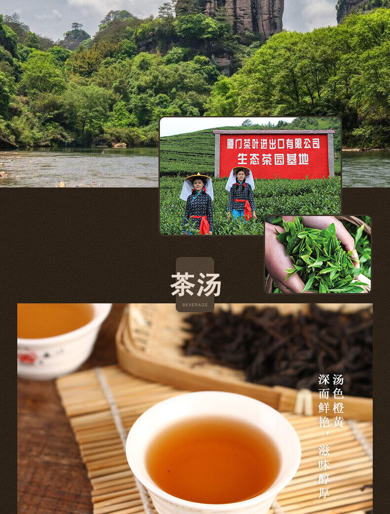 HelloYoung Sea Dyke Brand AT111 Fujian Wuyi Da Hong Pao Big Red Robe Oolong Tea 400g