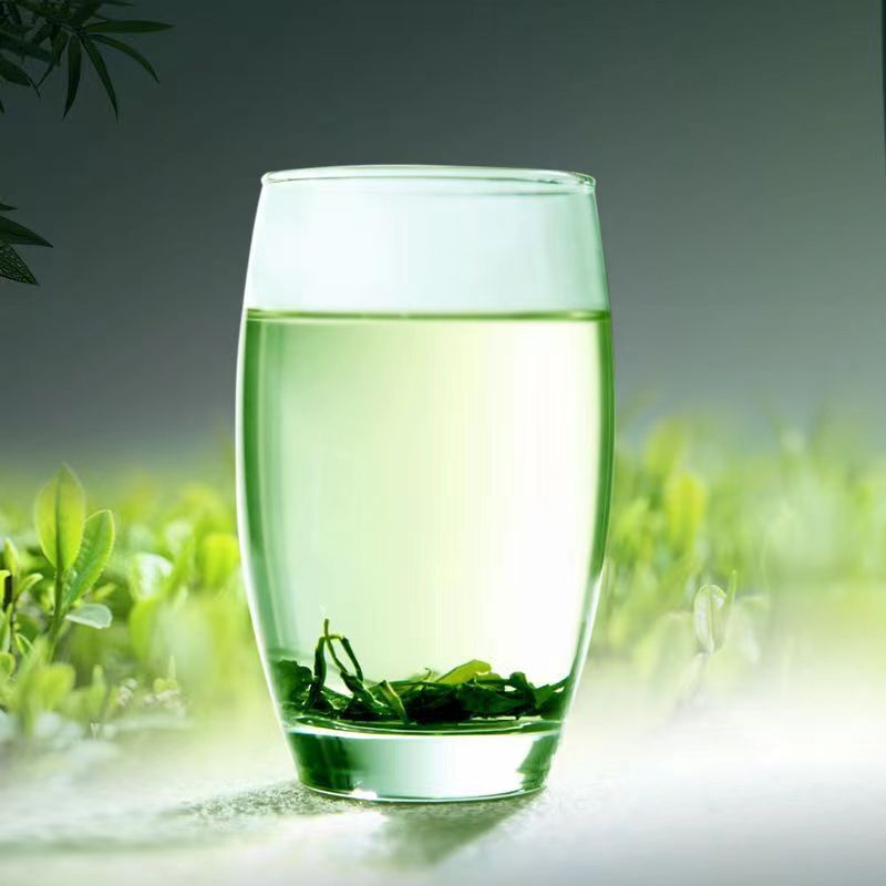 500g High Mountain Green Tea Super Grade Cloud Mist Green Tea Chinese Loose Leaf