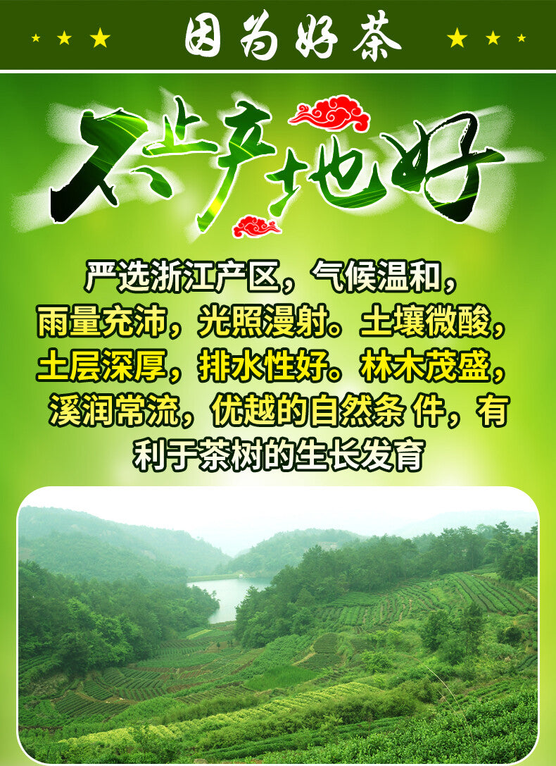 Longjing Loose Tea 250g Tin Chinese Premium Dafo Long Jing Dragon Well Green Tea