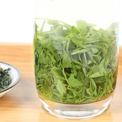 Spring Chinese Green Tea 250g Fresh Xin Yang Mao Jian Xinyang Maojian Downy Tip