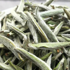 HelloYoung 50g Organice TOP China Premium Silver Needle Fuding White Tea Gift Top Bud Tea