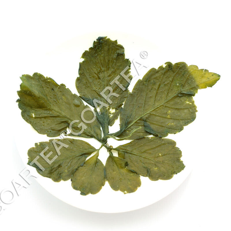 HelloYoung HELLOYOUNG Premium Jiaogulan Gynostemma Pentaphyllum Tea Herbal Flower Green
