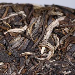 500g Remote Mountain Ancient Tree 2019 Haiwan Old Comrade Batch 191 Raw Puer Tea