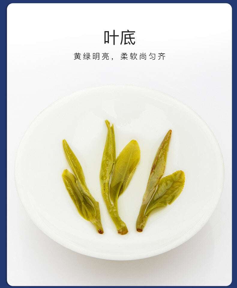 Organic Longjing 250g EFUTON Premium Xi Hu Dragon Well Green Tea Long Jing Tea