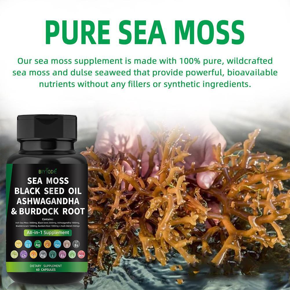 Certified Organic Sea Moss Capsules Irish Sea Moss Bladderwrack Burdock Root