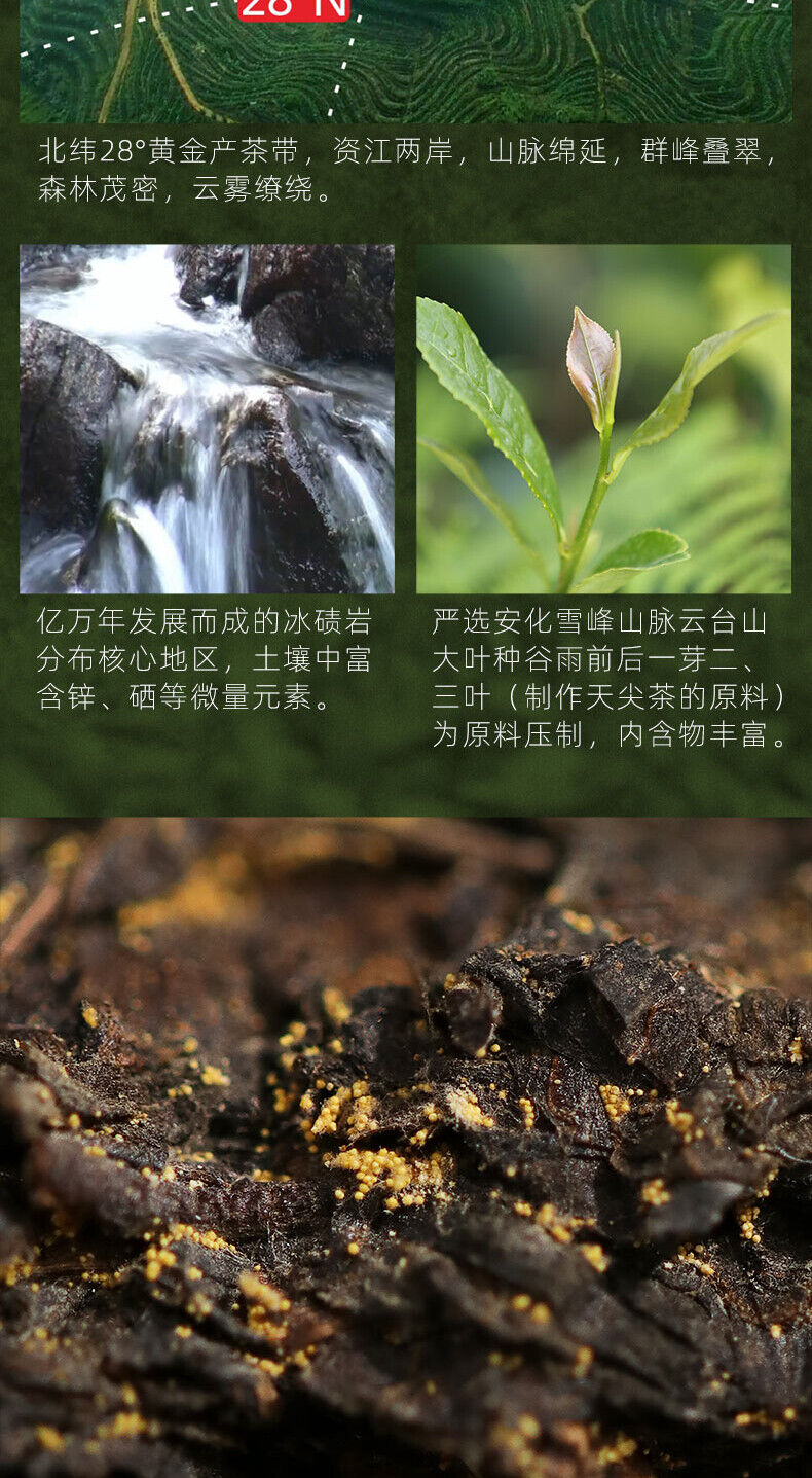 Gold Flower Tea Brick 1kg TIAN FU CHA Anhua Baishaxi 1939 Dark Tea Black Tea