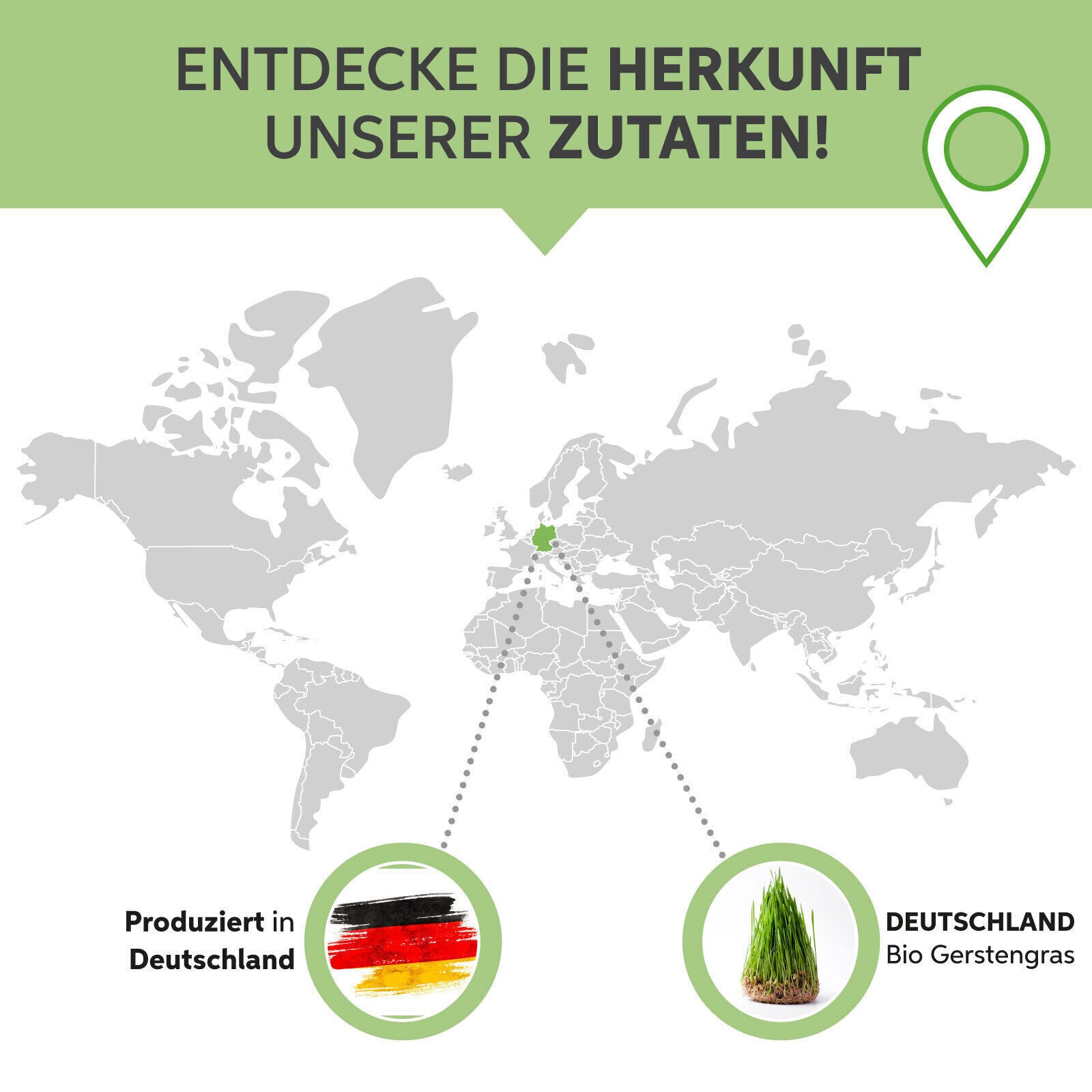 Organic Barley Grass Powder ground | German Barley Grass pure without additives