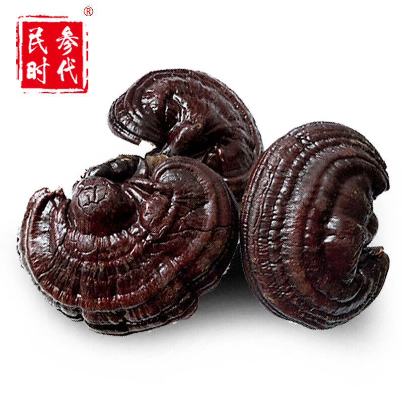 500g Reishi Soup Purple Ganoderma Lucidum Wild Lingzhi Mushroom Herbs