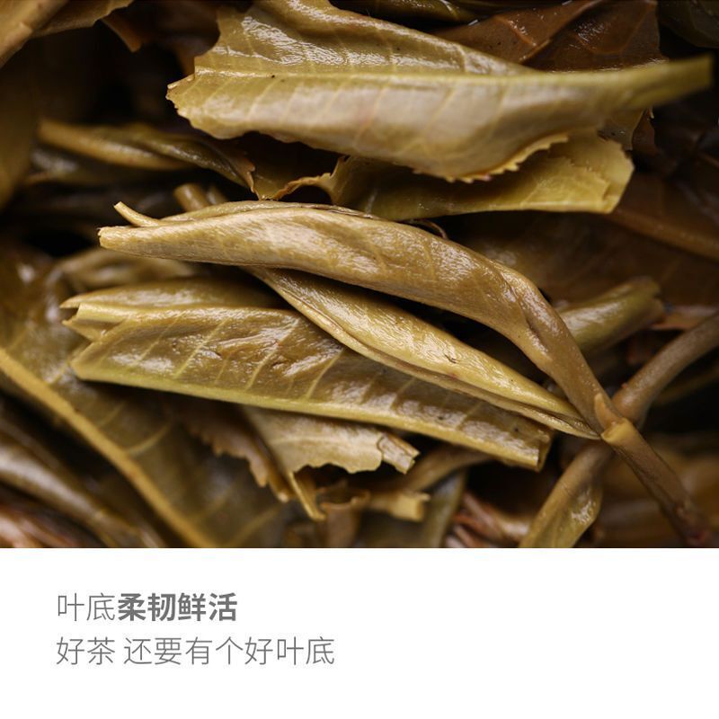 500g Remote Mountain Ancient Tree 2019 Haiwan Old Comrade Batch 191 Raw Puer Tea