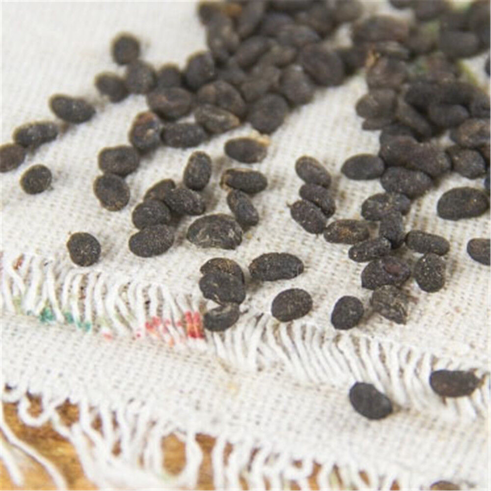 HelloYoung 100% Natural Buguchi Herbs Cowhide Herb Fruit Chinese Herbs Blood