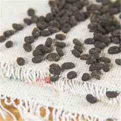 HelloYoung 100% Natural Buguchi Herbs Cowhide Herb Fruit Chinese Herbs Blood
