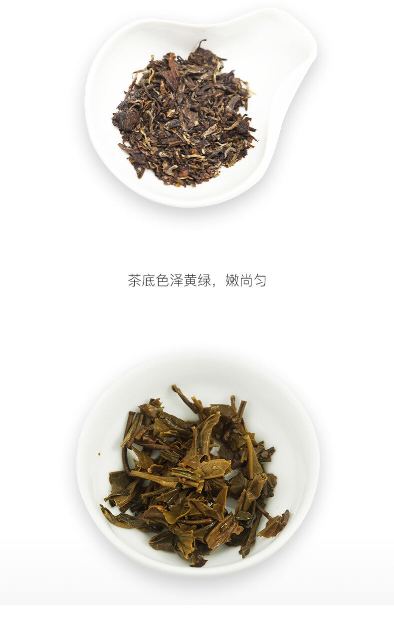Classic Raw Pu'er Tea Jia Ji TuoCha Menghai TAETEA Dayi Tea Raw Pu-erh 500g