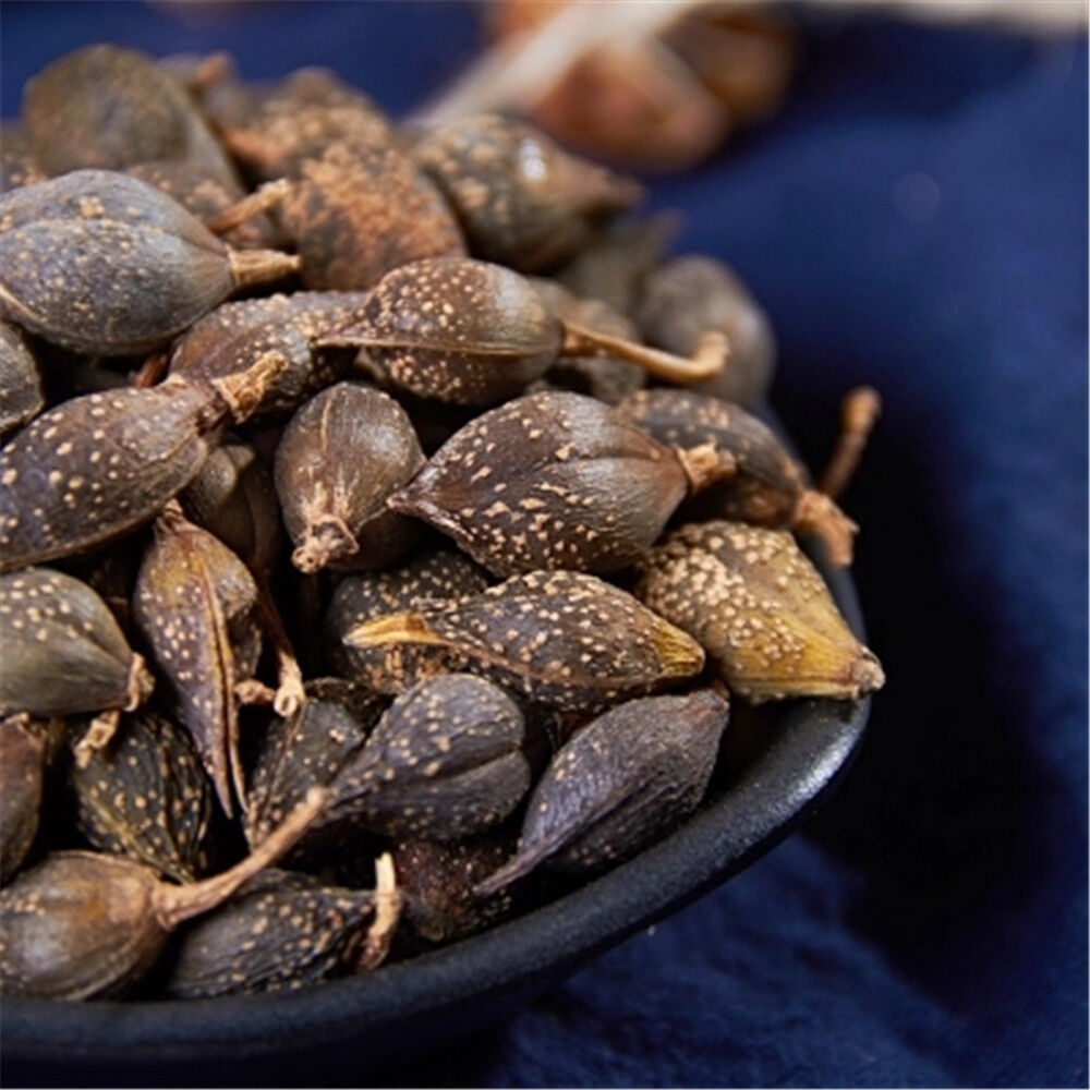 HelloYoung 100% natural dried herb Poria Lian Qiao Fructus Forsythiae aromatic Chinese herb