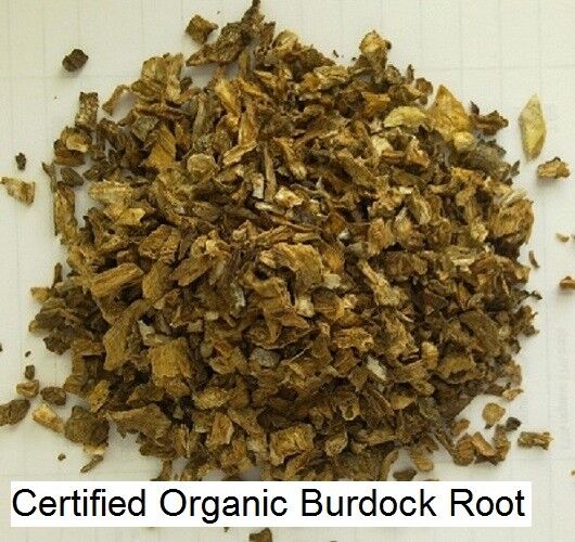 BURDOCK ROOT PREMIUM HARVEST HERBAL TEA 250g Arctium lappa Dried herb