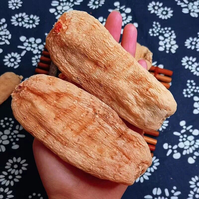 云南邵通天麻 三年一采 Tian Ma / 500g Pure Herbal Gastrodia Elata Root / Rhizoma gastrodia