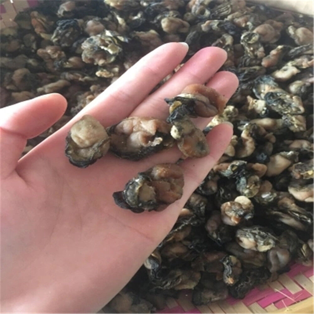 HelloYoung 100% Natural Dried Seafood Dried Oyster Hao Shi Hai Li Chinese Speical Food