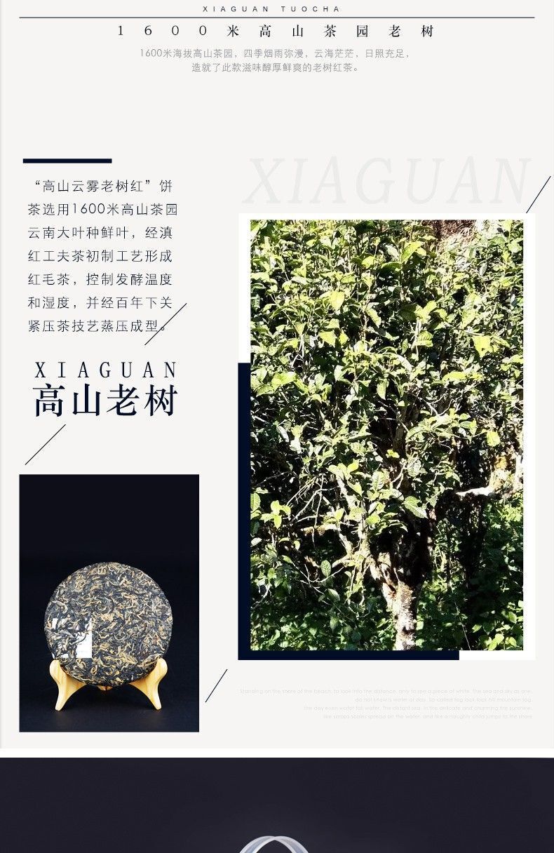 Xiaguan Yunnan Kung Fu Dian Hong Red Tea Old Tree Black Tea Dianhong 200g