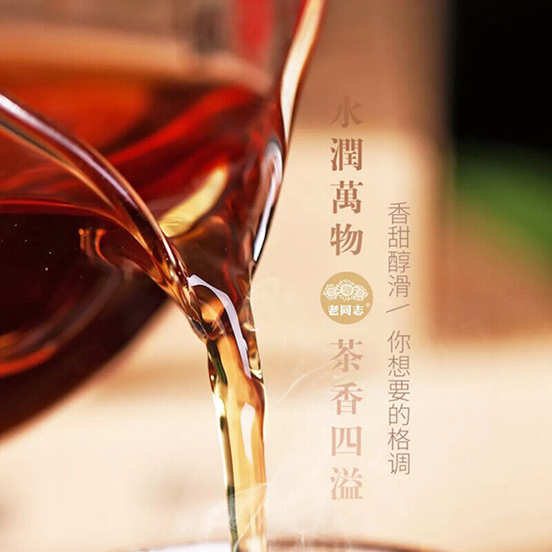 250g Top-grade Classic 1999 Old Tree Pu-erh Brick Tea Haiwan Old Comrade Puer