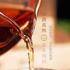 250g Top-grade Classic 1999 Old Tree Pu-erh Brick Tea Haiwan Old Comrade Puer