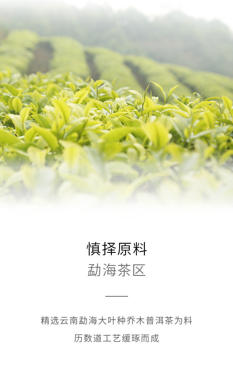 357g   Ripe Puerh Tea Haiwan Old Comrade Puer Tea